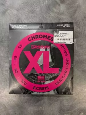 D'Addario - ECB81S